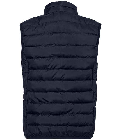 04446 French Navy Back