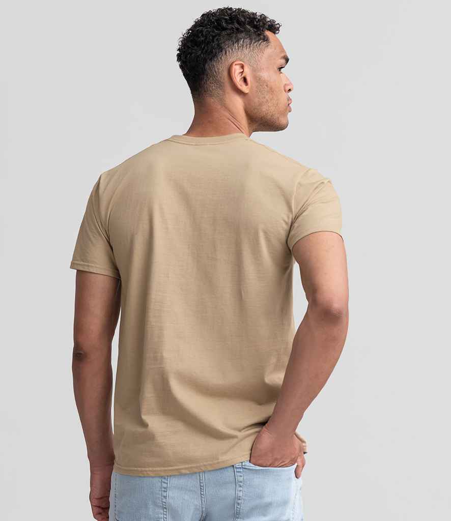 215M Tan Model