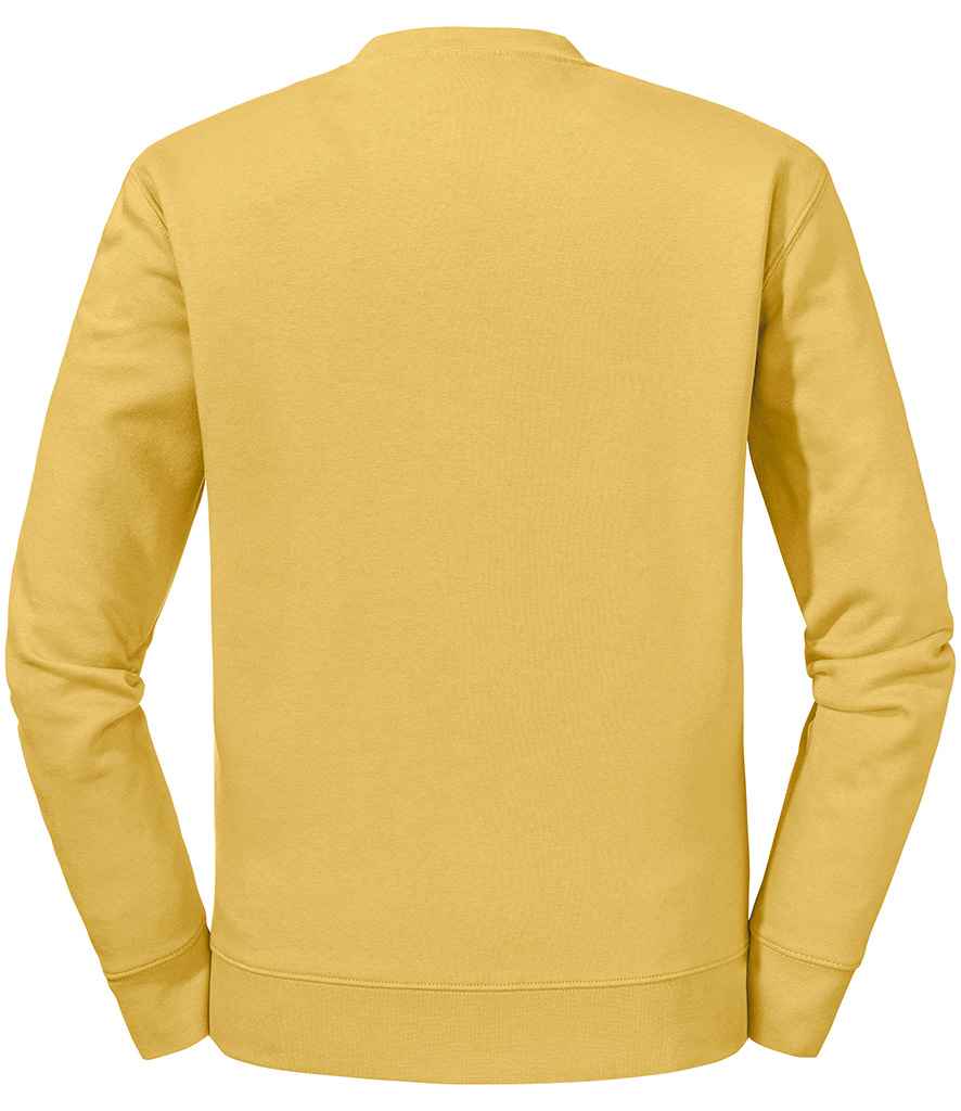 262M Mustard Back