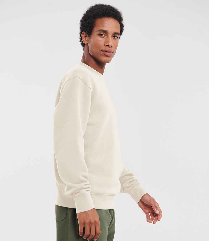 262M Natural Model