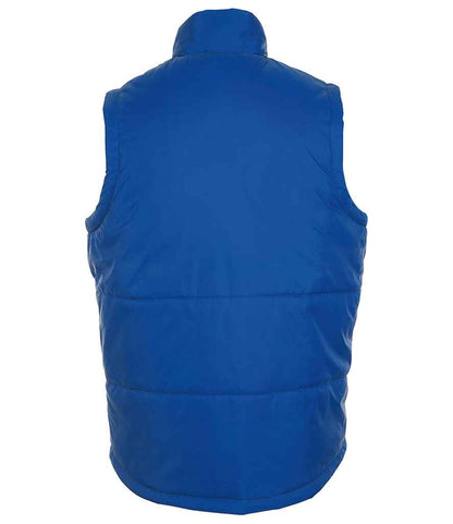 44002 Royal Blue Back