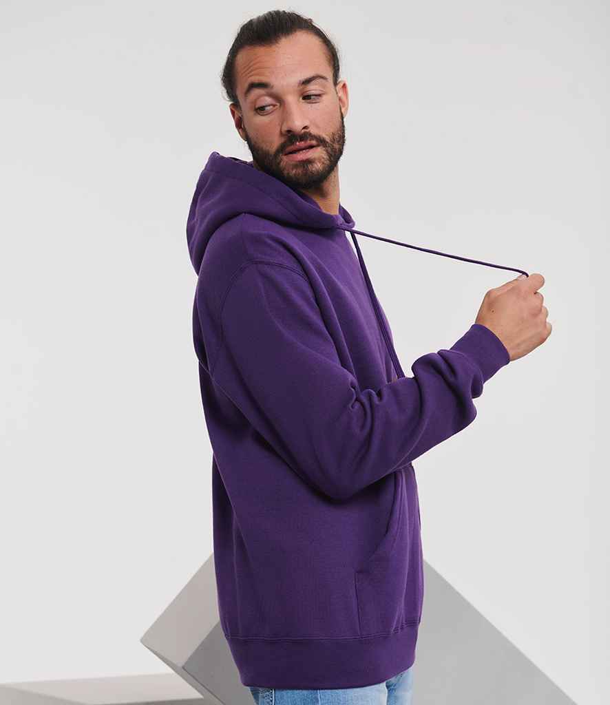 575M Purple Model