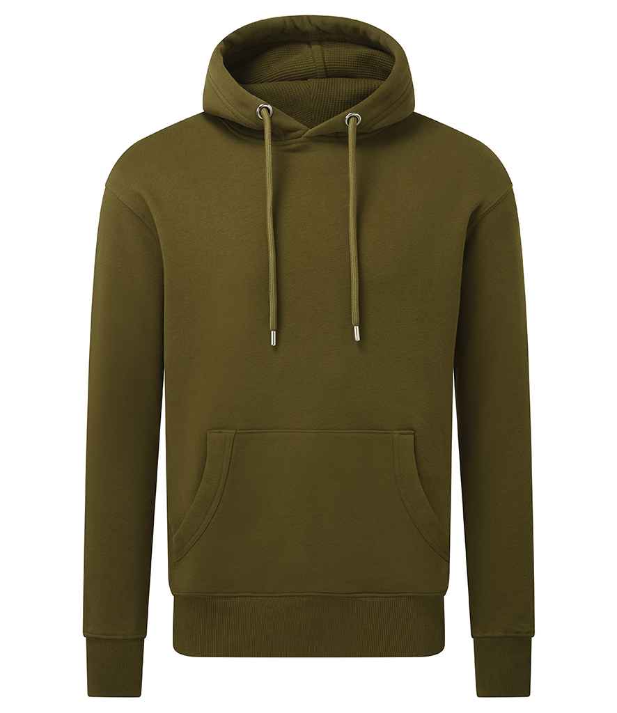 Anthem Organic Hoodie (1/2)