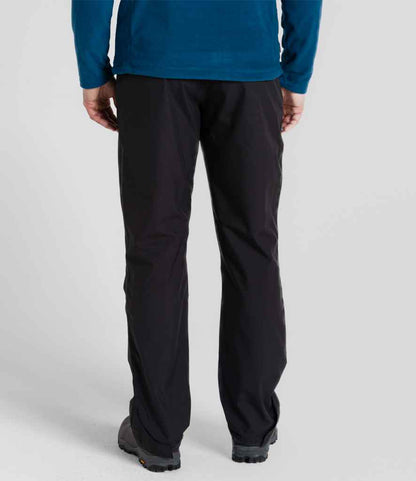 CR241 Dark Navy Model