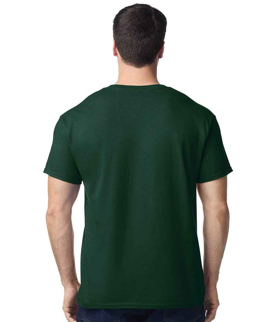 GD05 Forest Green Model