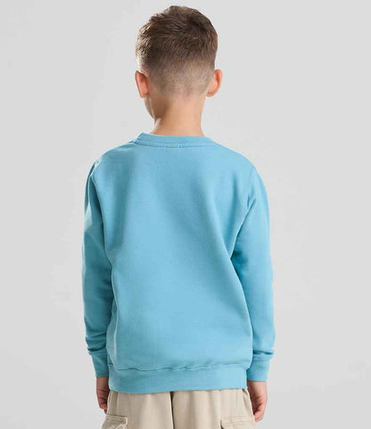 AWDis Kids Sweatshirt (2/2)