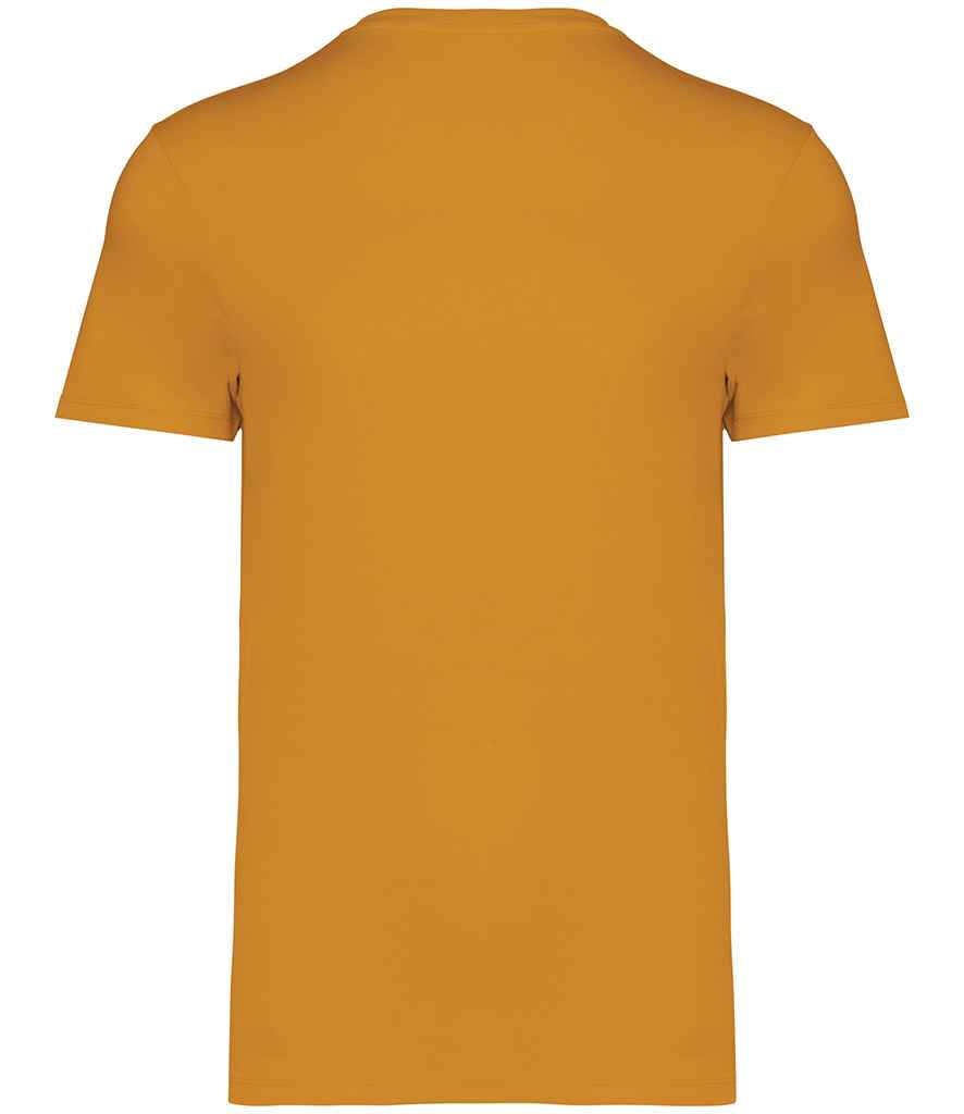 Native Spirit Unisex Heavyweight T-Shirt (1/4)