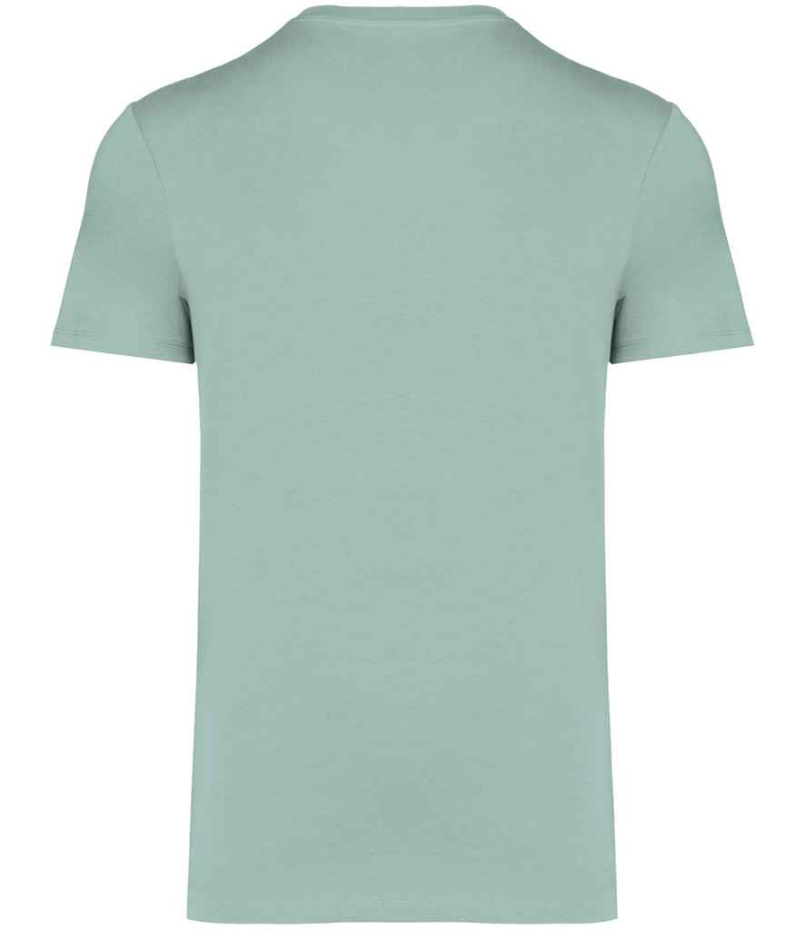 Native Spirit Unisex Heavyweight T-Shirt (2/4)