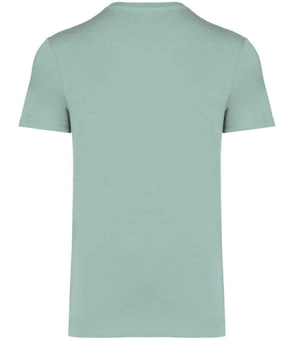 Native Spirit Unisex Heavyweight T-Shirt (2/4)