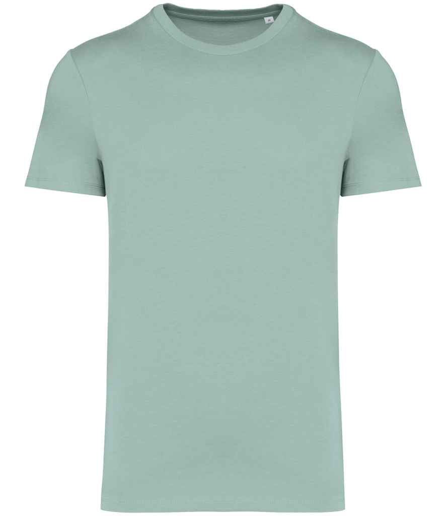 Native Spirit Unisex Heavyweight T-Shirt (2/4)