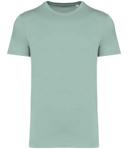 Native Spirit Unisex Heavyweight T-Shirt (2/4)