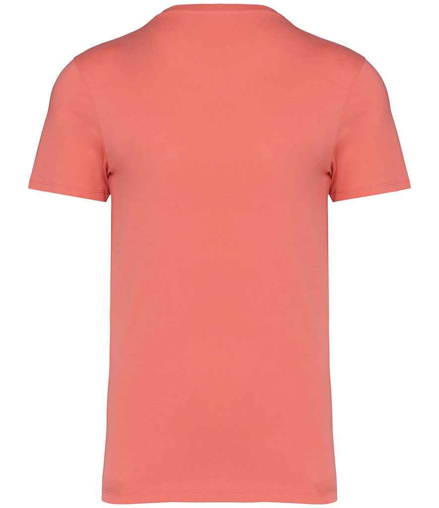 Native Spirit Unisex Heavyweight T-Shirt (2/4)