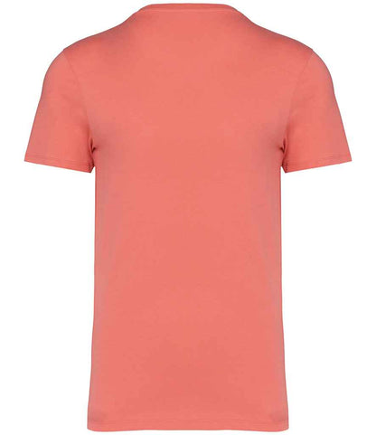 Native Spirit Unisex Heavyweight T-Shirt (2/4)
