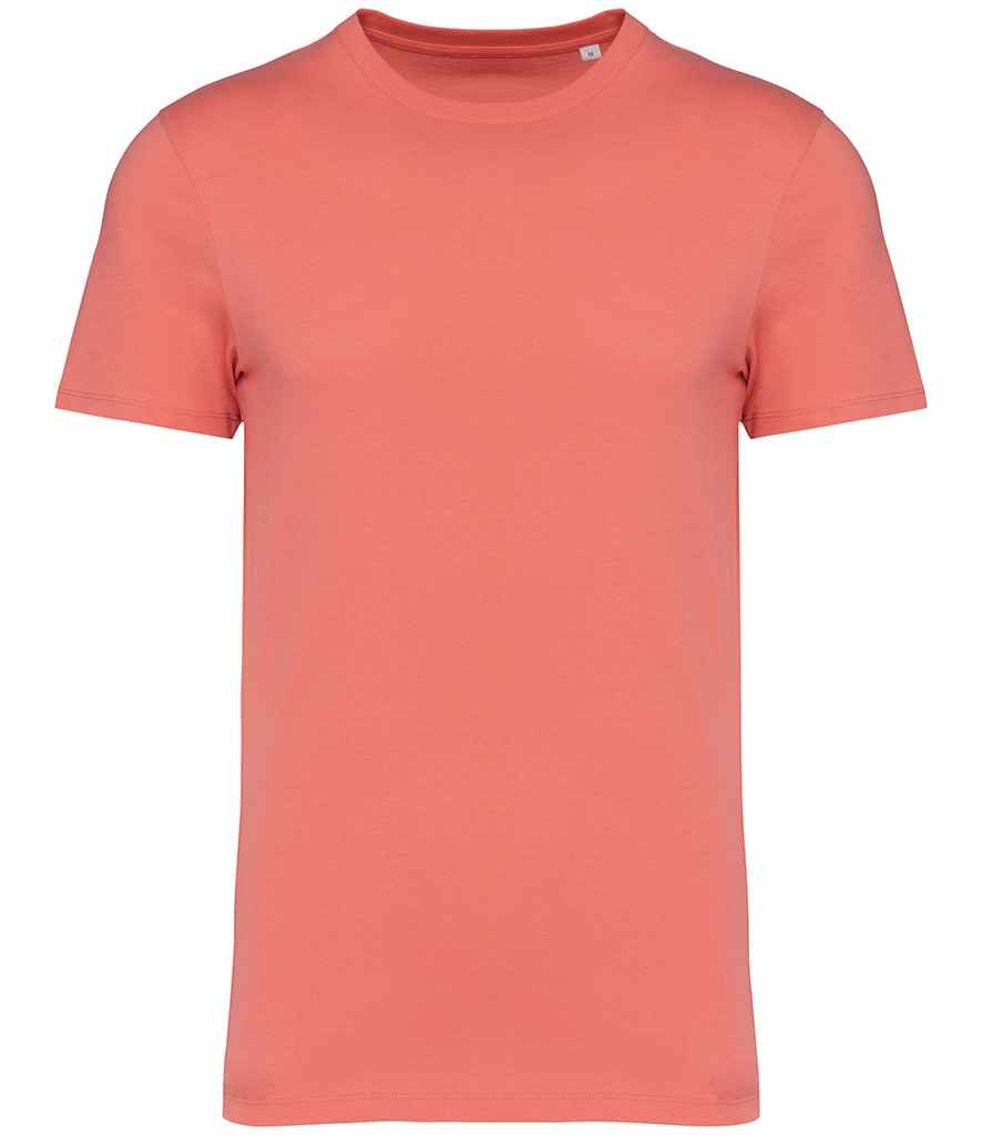 Native Spirit Unisex Heavyweight T-Shirt (2/4)
