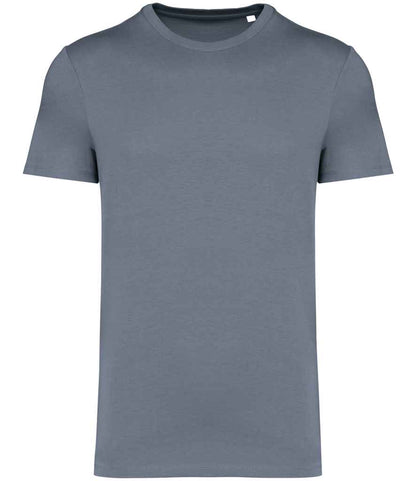 Native Spirit Unisex Heavyweight T-Shirt (2/4)