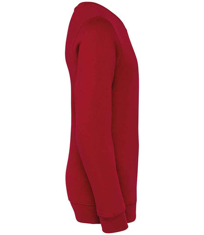 NS403 Hibiscus Red Right