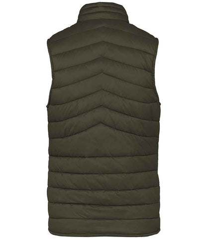 Native Spirit Ladies Light Recycled Bodywarmer
