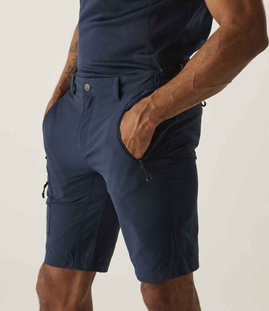 Regatta Prolite Stretch Shorts
